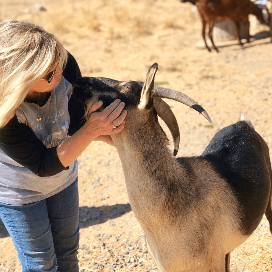 Connie Edwards McGaughy with goat at Charlie's Acres Farm Animal Sanctuary in Sonoma California