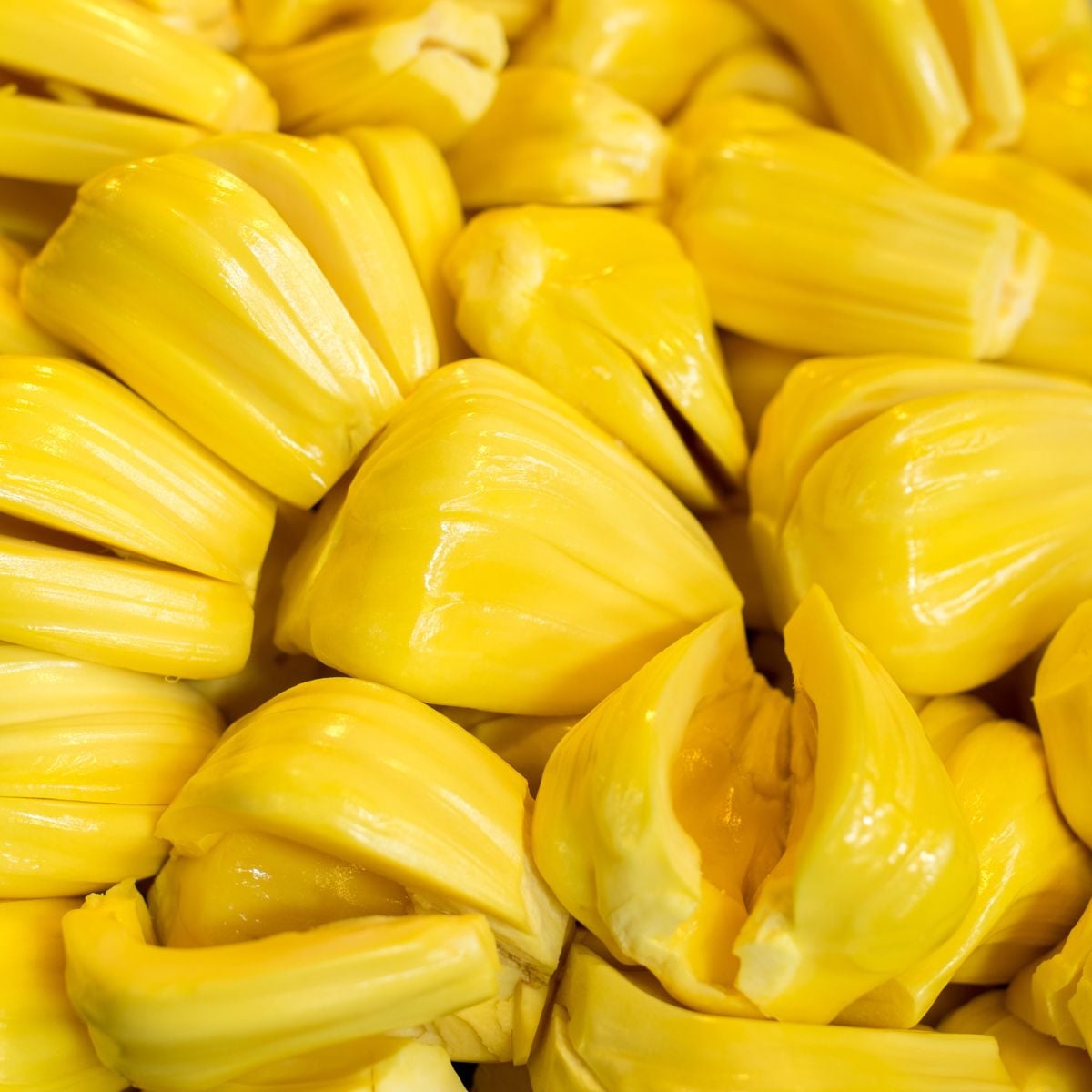 Pieces of fresh jackfruit.