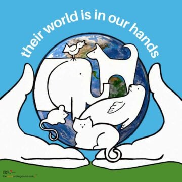 An illustration of two hands holding the globe with animals on it, and the words, their world is in our hands.