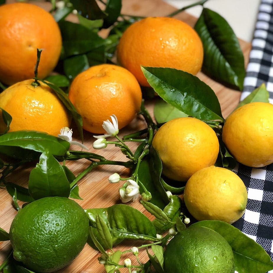 oranges lemons limes citrus