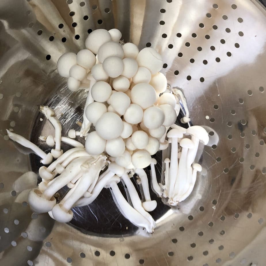 Shimeji mushrooms