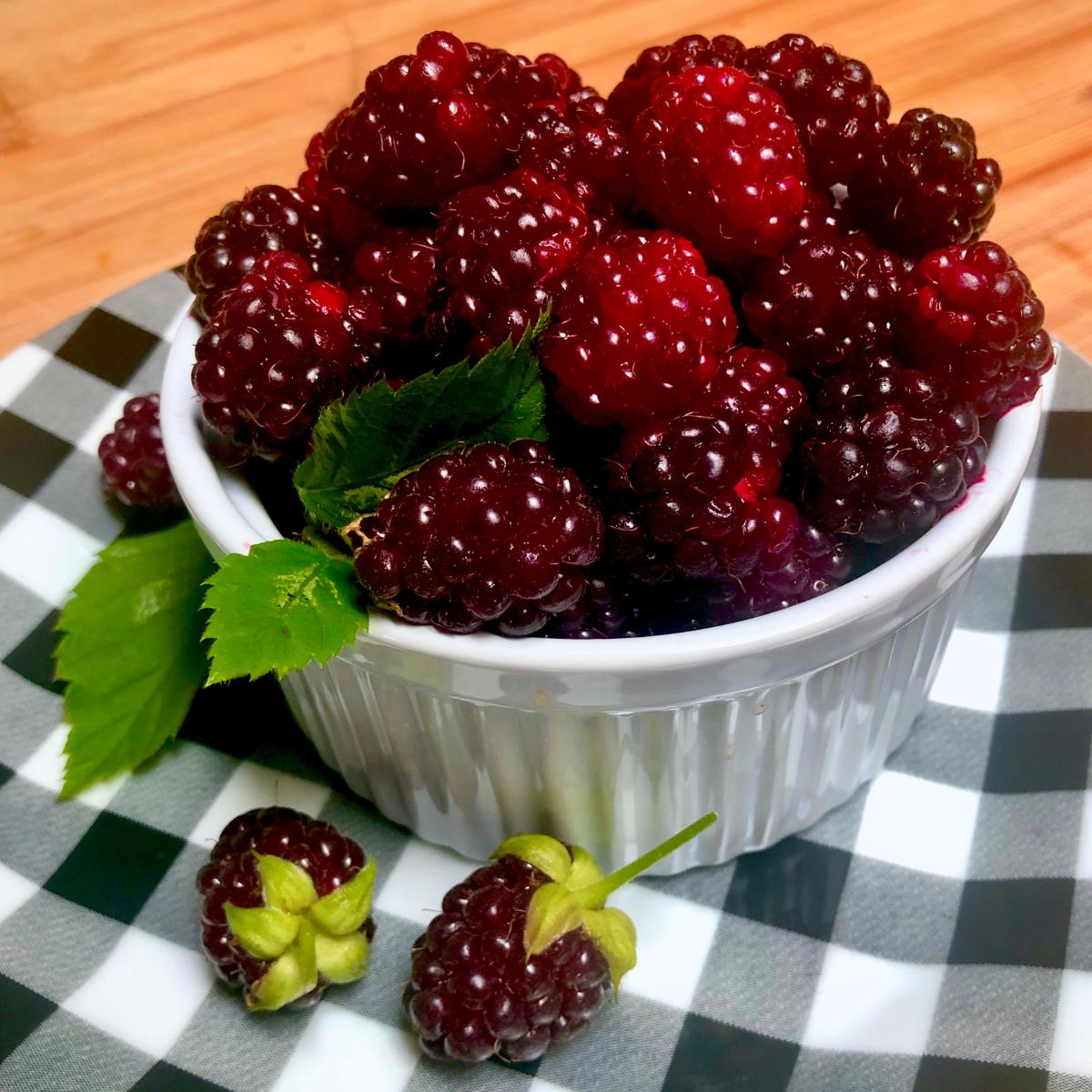 A bowl filled with fresh boysenberries.